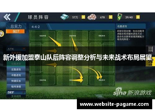 新外援加盟泰山队后阵容调整分析与未来战术布局展望
