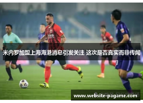 米内罗加盟上海海港消息引发关注 这次是否真实而非传闻