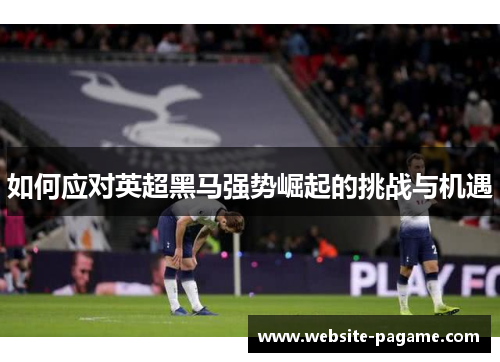 如何应对英超黑马强势崛起的挑战与机遇