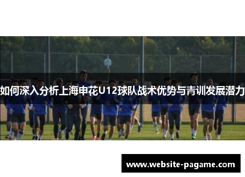 如何深入分析上海申花U12球队战术优势与青训发展潜力