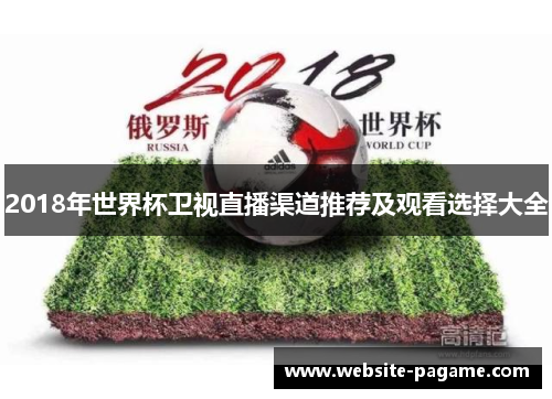 2018年世界杯卫视直播渠道推荐及观看选择大全