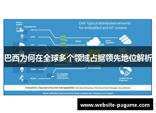 巴西为何在全球多个领域占据领先地位解析