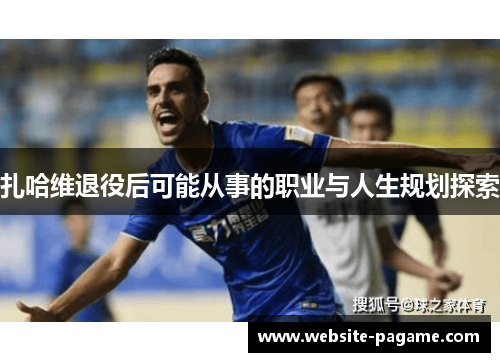 扎哈维退役后可能从事的职业与人生规划探索