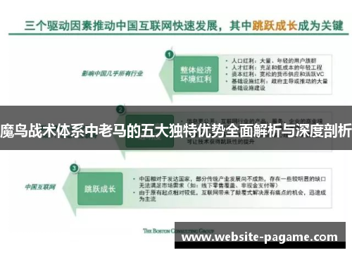 魔鸟战术体系中老马的五大独特优势全面解析与深度剖析 魔鸟战术体系中老马的五大独特优势全面解析与深度剖析
