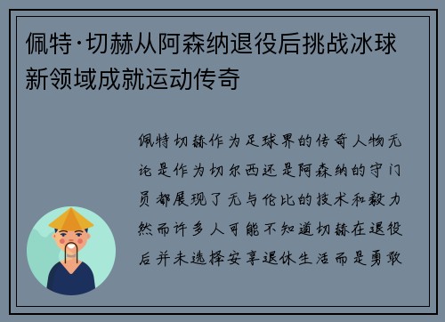 佩特·切赫从阿森纳退役后挑战冰球新领域成就运动传奇
